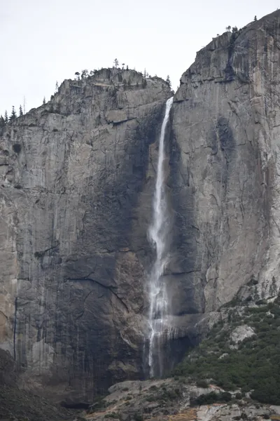 DSC_4661 (Large).JPG